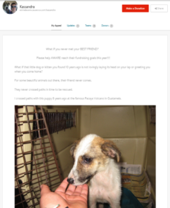 Animal Aware supporter Kassandra makes her own appeal by telling the personal story of why she’s involved. She also includes an adorable puppy picture, which never hurts. (Click the picture to enlarge)