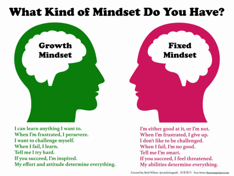 What's Your Mindset